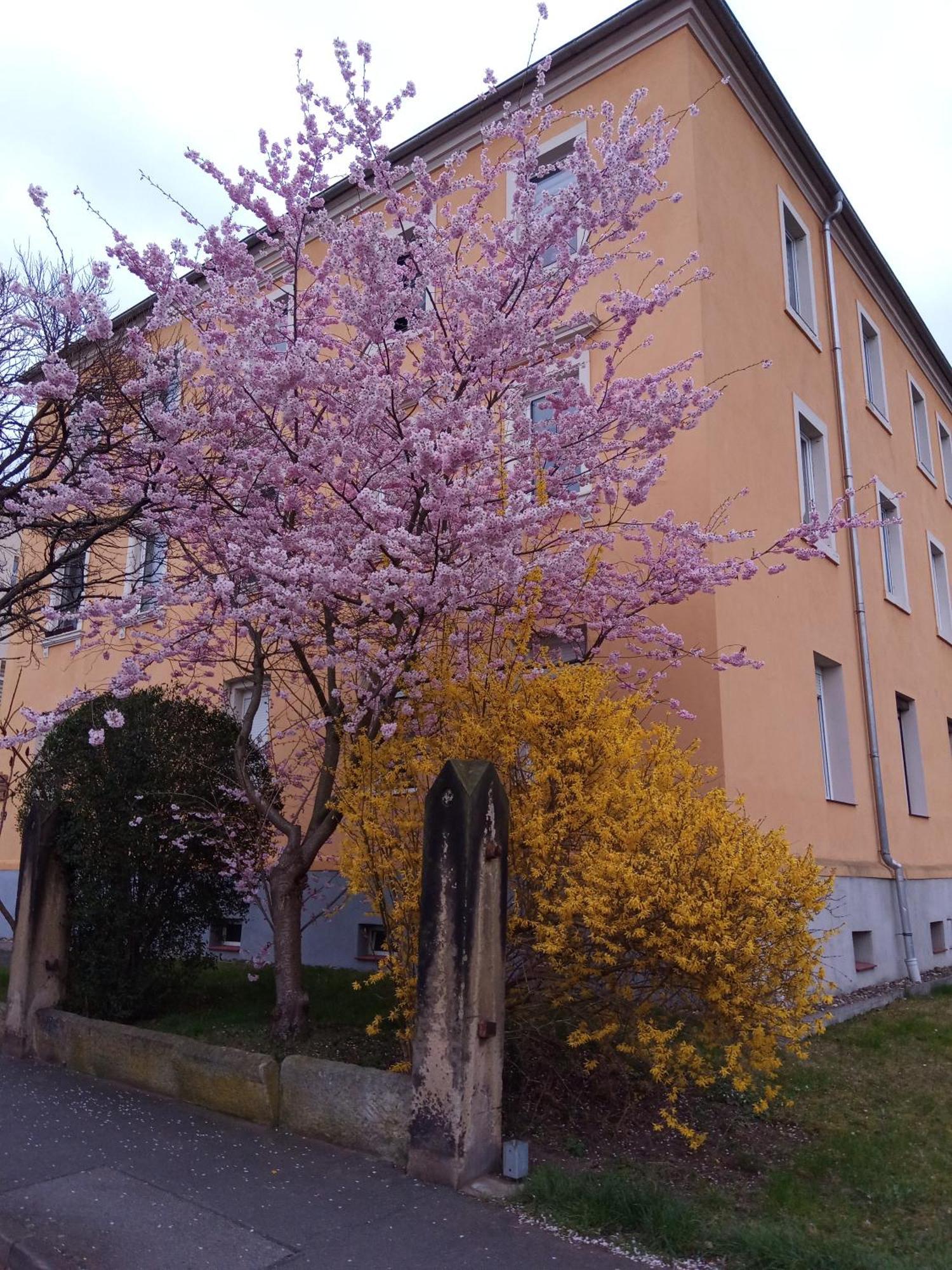 Ferienwohnungen Familie Winter Dohna ภายนอก รูปภาพ